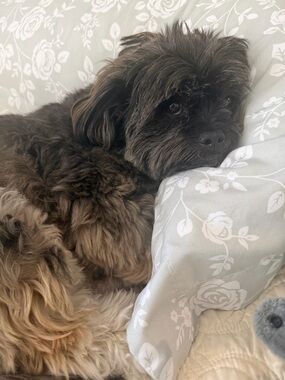 Meet your Posher, Jovita